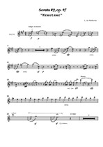 Beethoven - Violin Sonata 'Kreutzer'